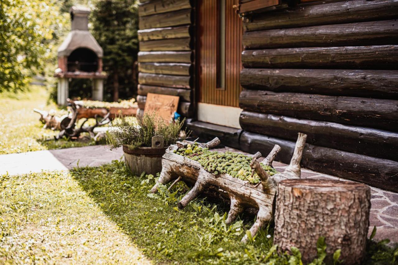 Cottage Hidden Pearl Jezersko Dış mekan fotoğraf